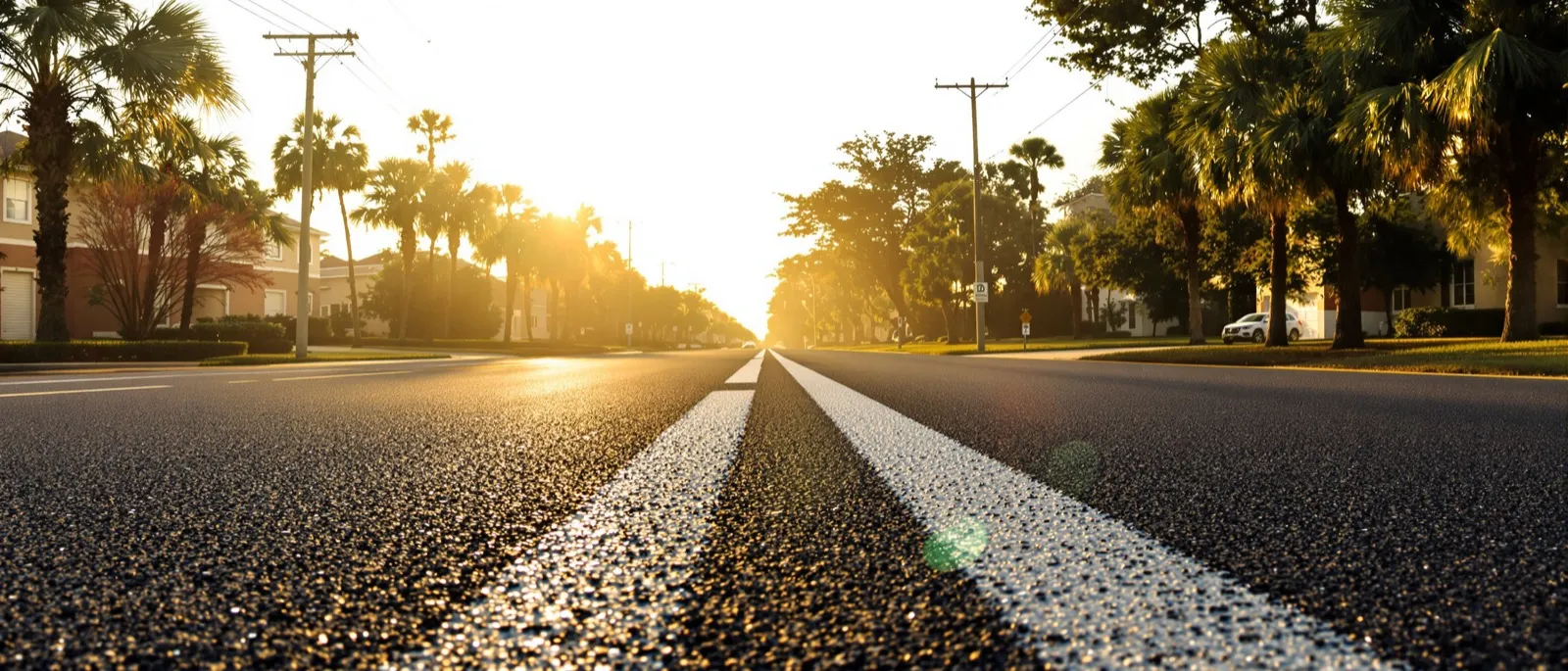 Newly paved suburban road lined with palmettos and pines under streetlights at dusk in Brevard County, Florida
