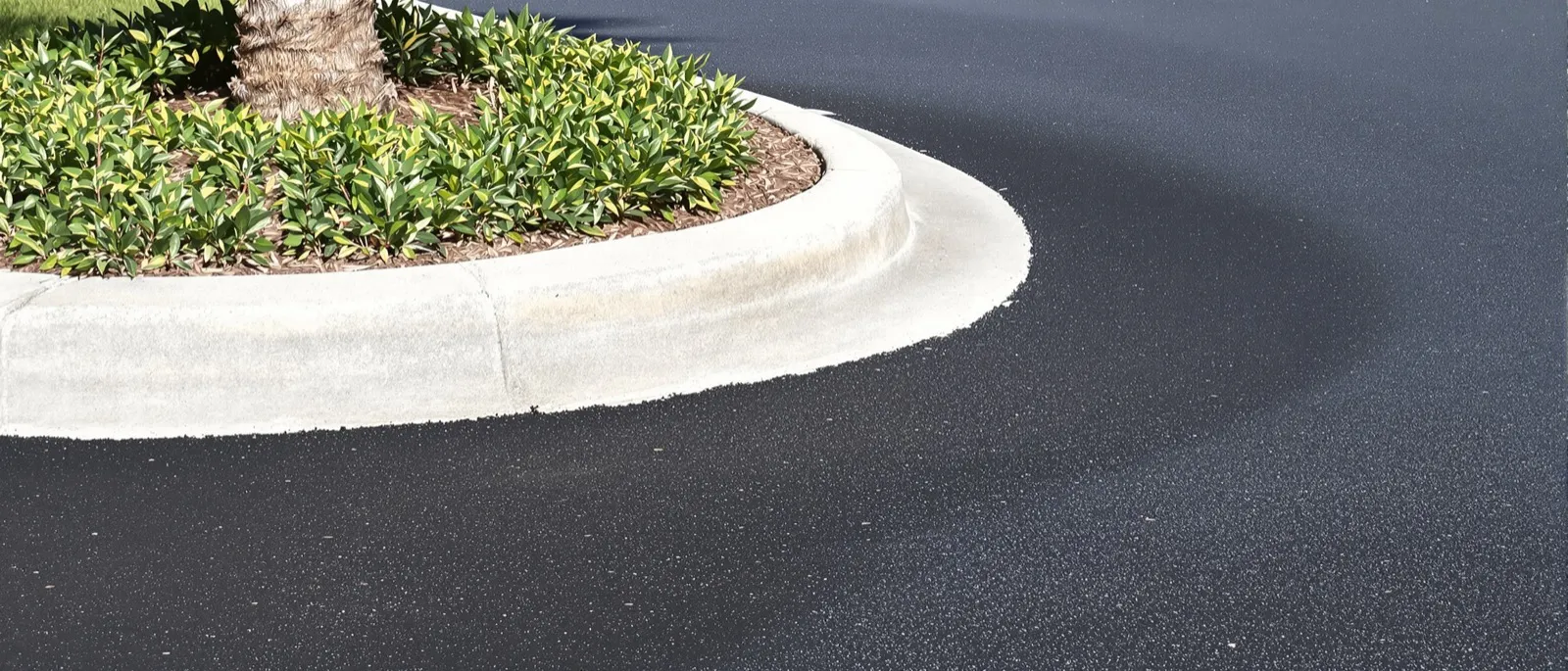 Roller compacting fresh asphalt in an empty shopping center parking lot lined with palm islands