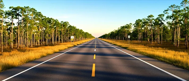 Tarped dump truck in the distance on a rural Florida highway through pine flatwoods