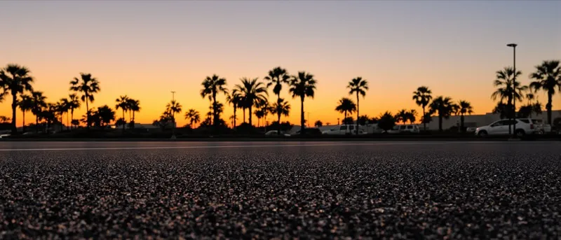 Newly paved unstriped asphalt parking lot with palm tree islands at dusk