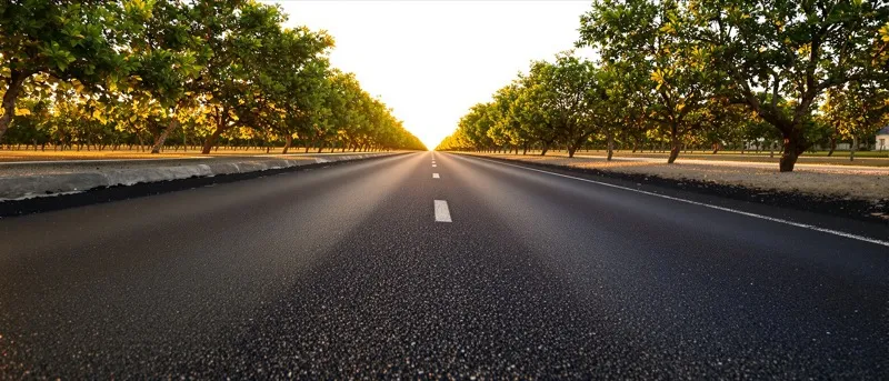 Freshly paved rural road beside a citrus grove in Indian River County